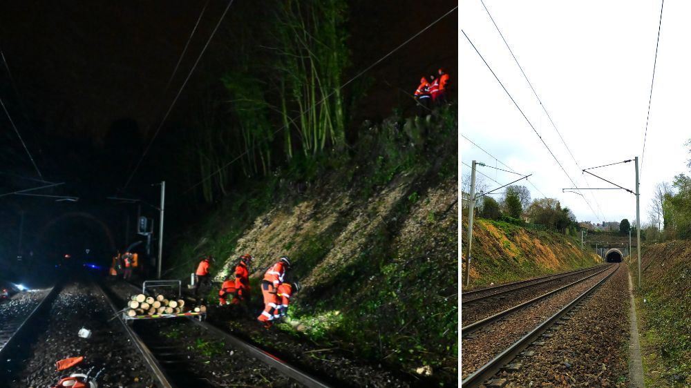 débroussaillage à rouen.jpg