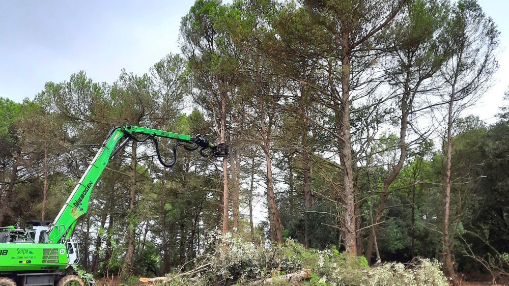 Abattage d'arbres Serpe Narbonne.jpg